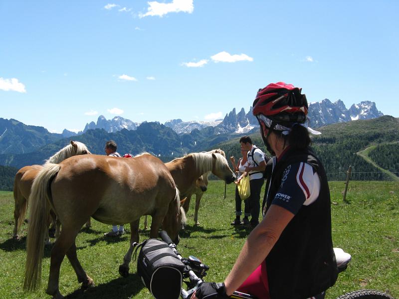 DOLOMITI2009 (117).JPG